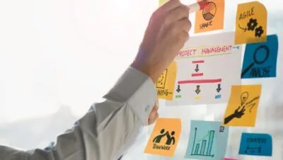 project manager